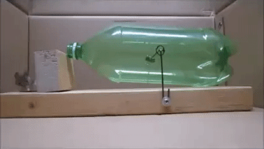 1462170383-b309302db3ff20a25e78e450617e84b8