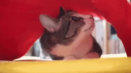 тебя ищут с матом