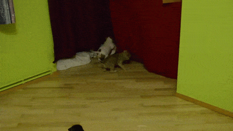 doc139263940_409821535