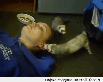 doc139263940_437045397