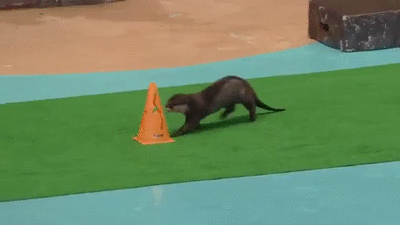 doc139263940_428094185