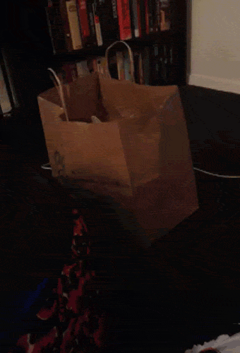 gifs_13 (2)