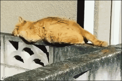 gifs_17 (2)