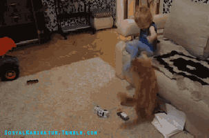 gifs_081