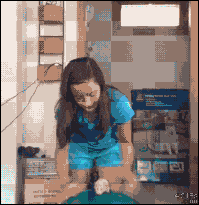 gifs_1511