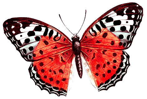 102900377_large_0_ad077_e4d012e2_L