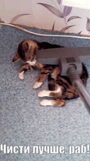 ezgif.com-gif-maker_001
