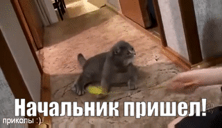 ezgif.com-gif-maker_002