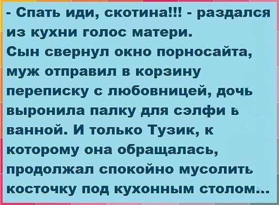 image (1)