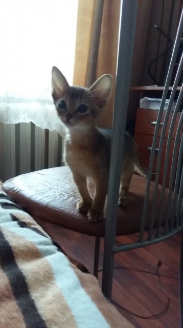 20160208_091027-min-min