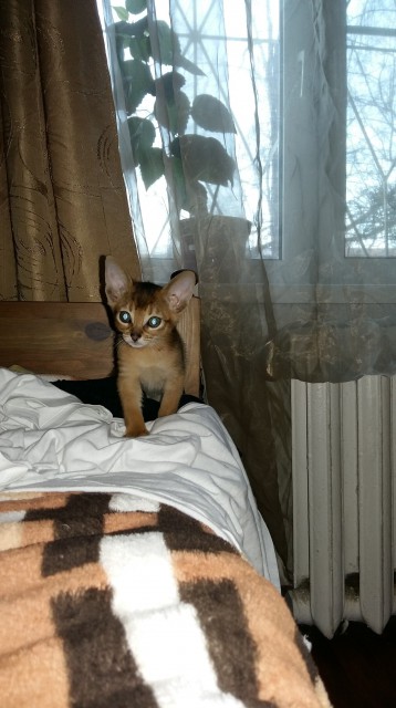 20160208_091332-min-min