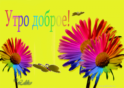 утро доброе с бабоч