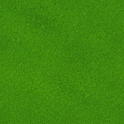121_tile_ZooBoing-com_Grass.jpg86af7810-d636-43d5-8737-e7527e8ba21cLarge