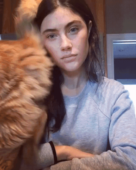 поломалась