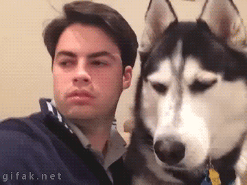 15de06ee4859dddf1f733901d44