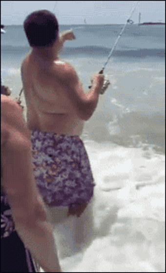 e4db20f9815eb961f513616ee6c