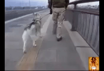 f4a1a5a9ccd50ae3011ee278f17