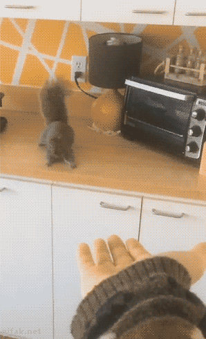 1537461a685501ff8737cd5139a