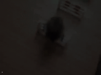 gifka-homyak-polosa-prepyatstvij