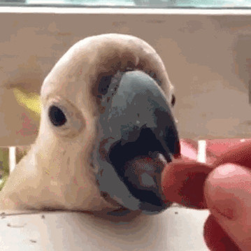 1435153671_185879541 (1)