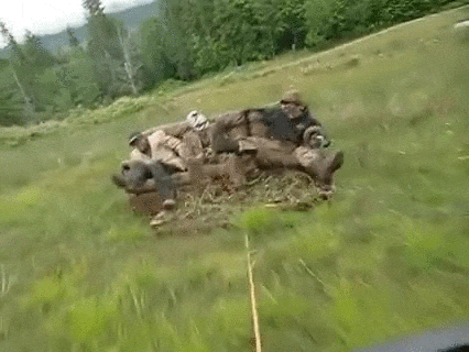 Couch Surfing...wait till the end - Imgur-iloveimg-compressed
