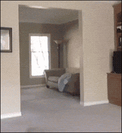 -real-life-doodles-песочница-3117136