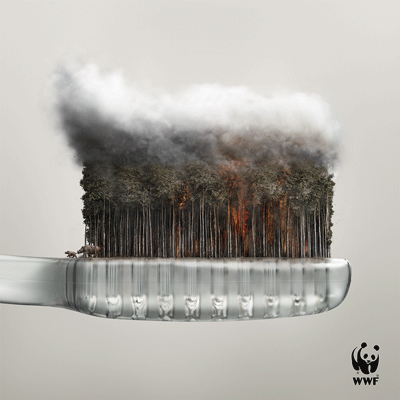 1463982999-0d99f20fb32689f21c347282f6d78de7