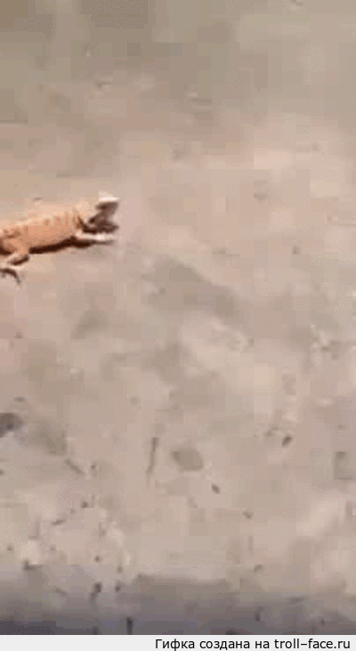 рептилоиды