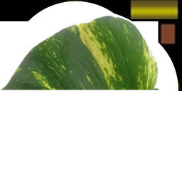 40701456c6a37b9989e57b1783666f6d