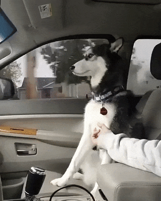 ezgif.com-gif-maker_001