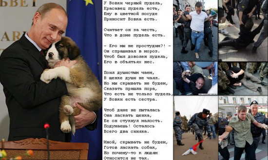 чёрный пудель