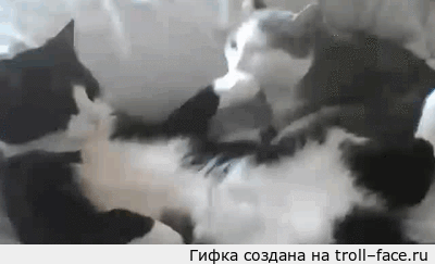 тс