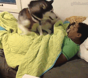 tumblr_o62fyezEM21ukldkho1_400