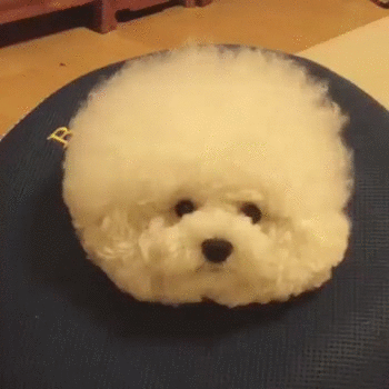 13416232_764450237025660_616907343_n (convert-video-online.com)