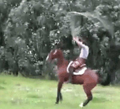 giphy