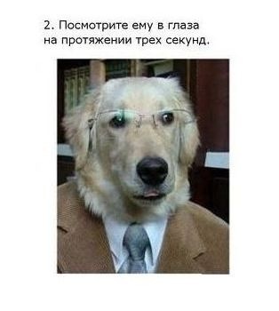 0_5a86e_5db3ef97_XL