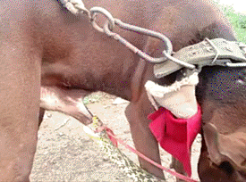 c1a3c815gw1f4rn09y3tag207n05ox6p