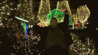 47677-light-saber-didnt-read-LOL-gif-jvm4