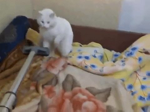 d02e383b0654e549ab505eeeb01f69bb__660x