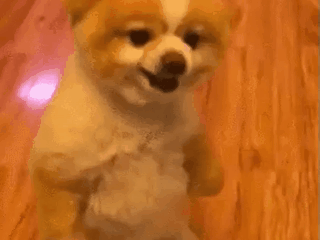 увидел сиськи