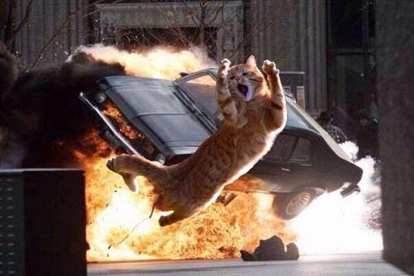 Персик герой