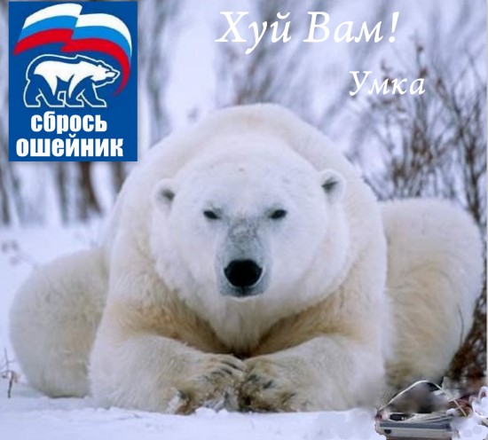 умка вырос.