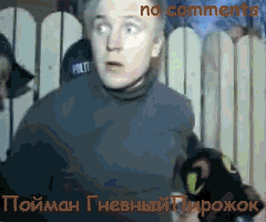 Druggie_arrested
