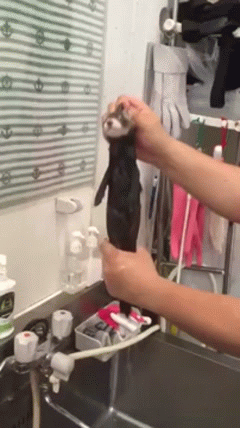 1467350910-cb3406383f89fdd6595ce949153e24d0