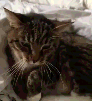 1467277076-c7383fad4635cbf07667a789a2c3ad78