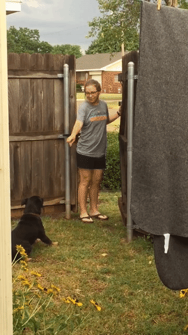 -собакен-3197374