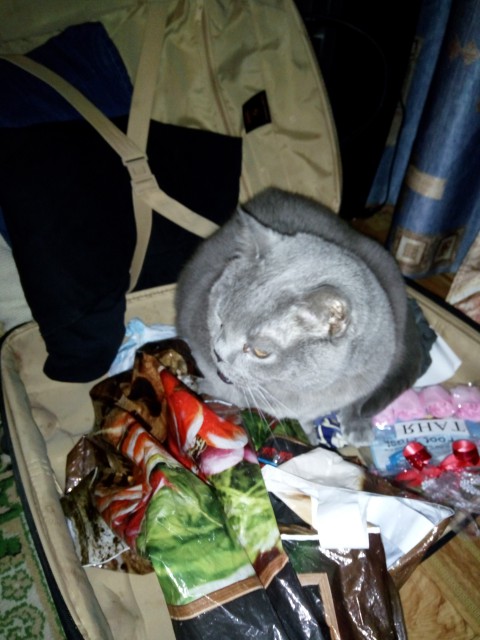 IMG_2016-01-05_182113