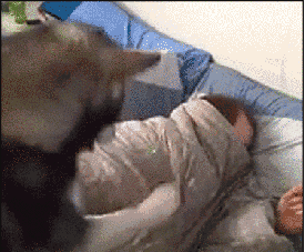 0_11fad2_db65b177_orig