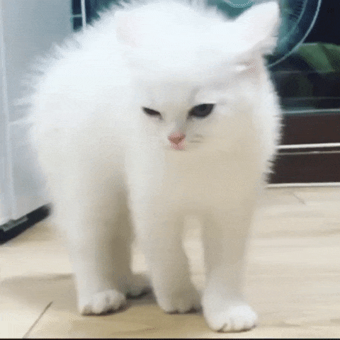 1468440878-f12f34154a7edc34fdf78b5667d5b48b