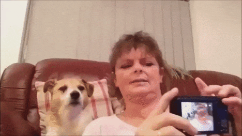 2e045fa40ee6d1c73bb728b6e2b